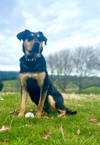 Shop Secondary Image