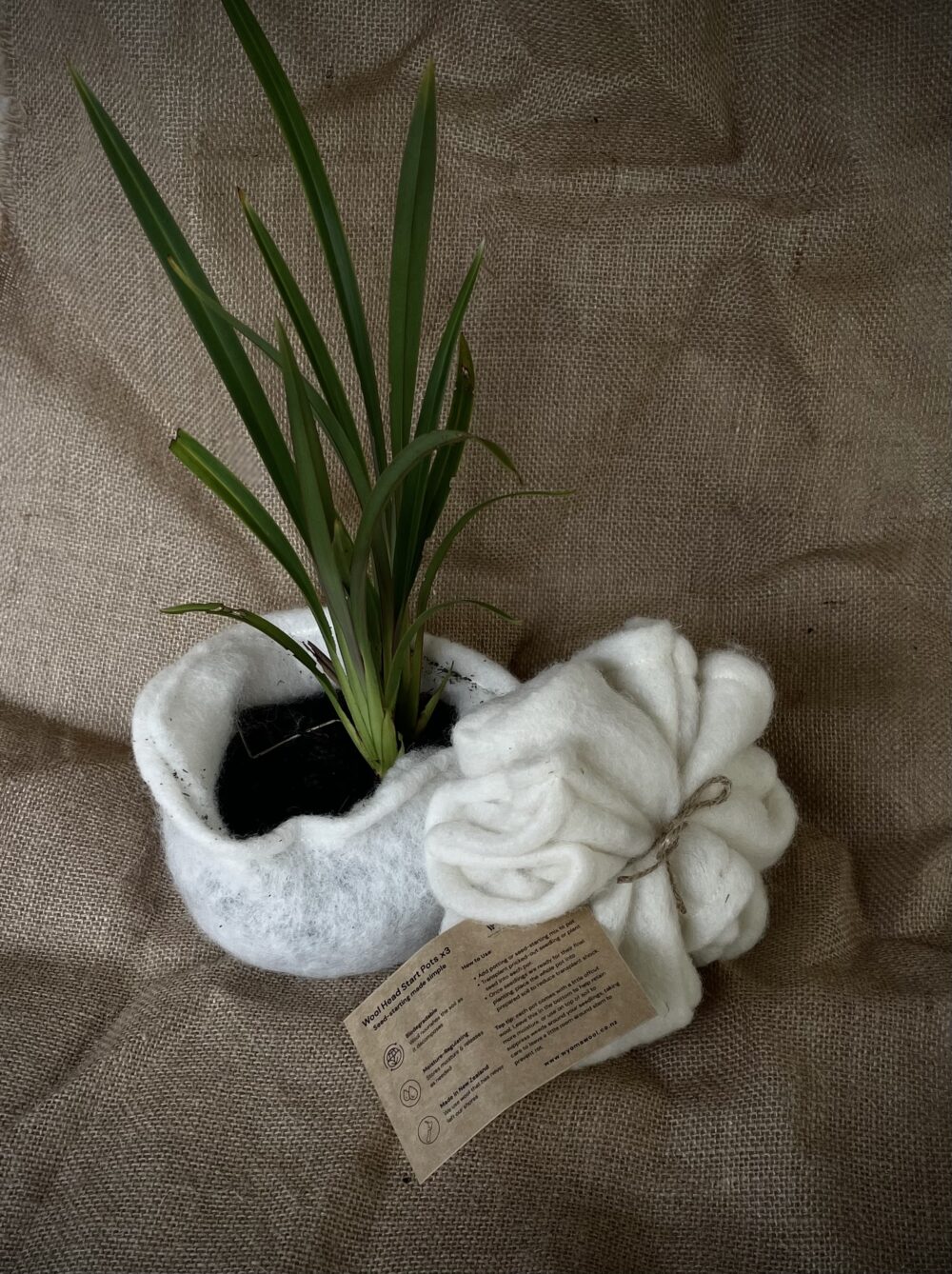 Wool Seed-Starting Pots