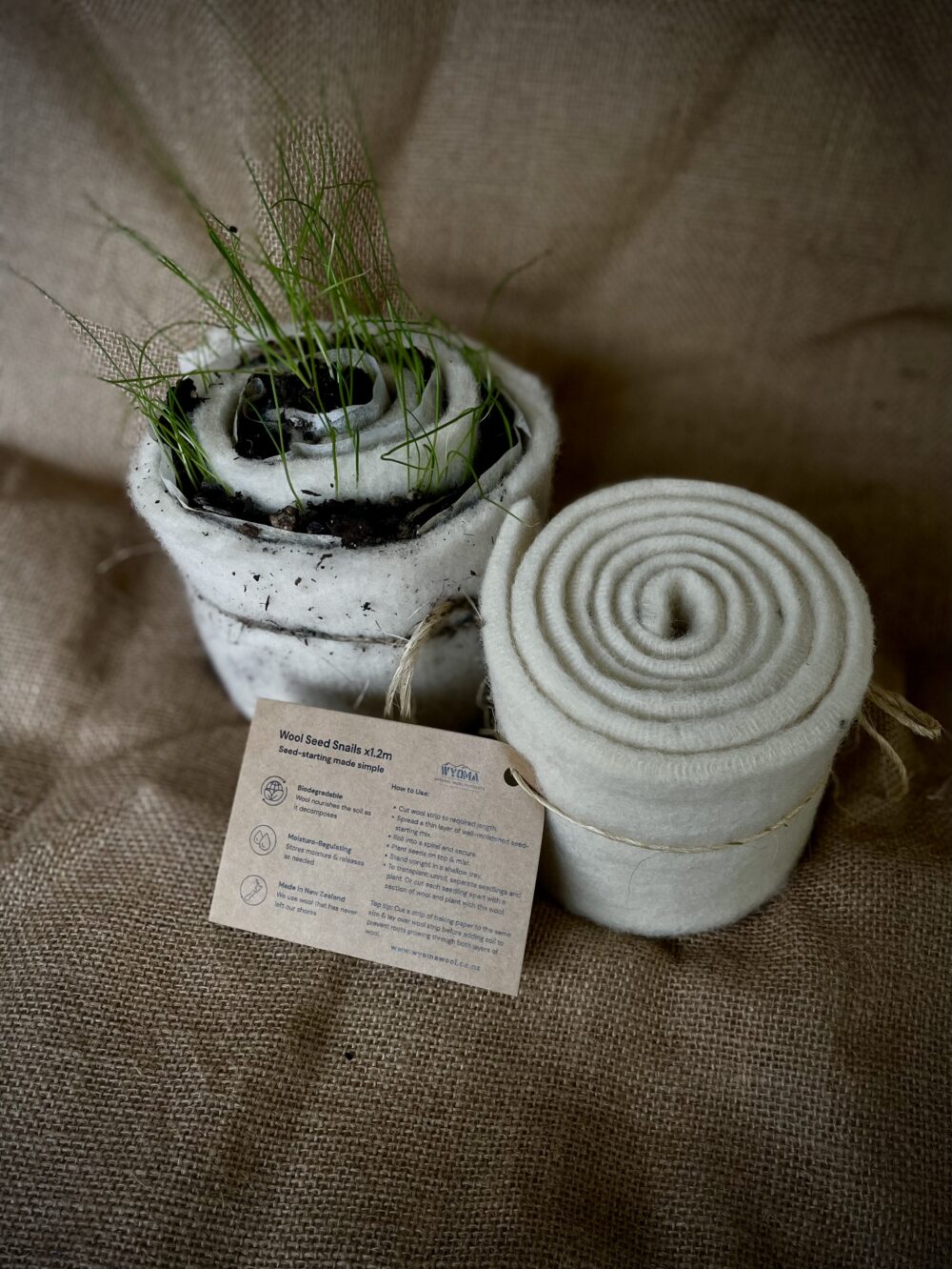 Wool Seed Snail Strips